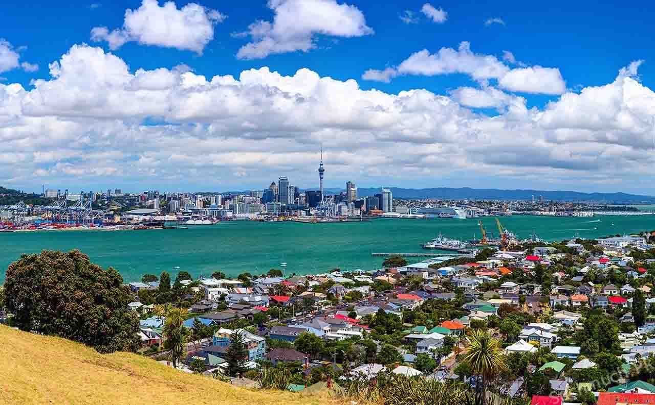 Du học New Zealand 2024 ngành công nghệ thông tin