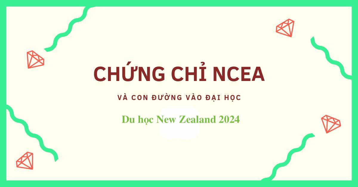 Chứng chỉ NCEA du học New Zealand 2024