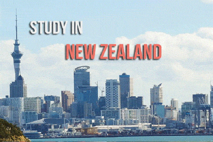 Du học New Zealand vừa học vừa làm 2024