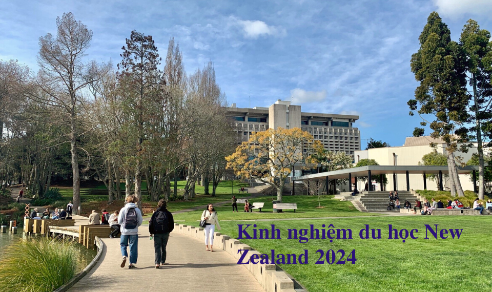 Kinh nghiệm du học New Zealand 2024